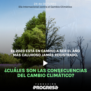 ¿Cuáles son las consecuencias del cambio climático? 🌡️🌎