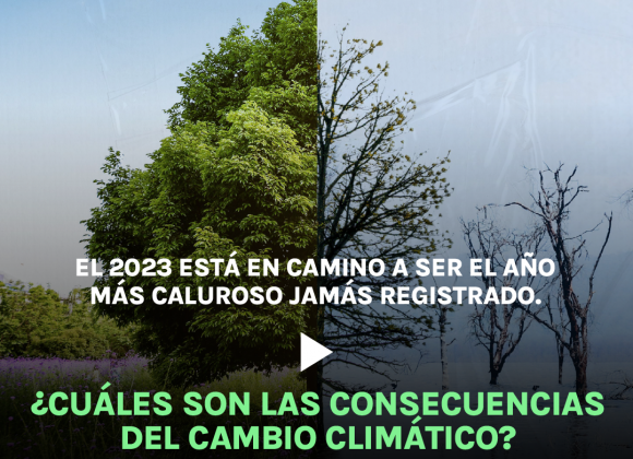 ¿Cuáles son las consecuencias del cambio climático? 🌡️🌎 ¿Cuáles son las consecuencias del cambio climático? 🌡️🌎