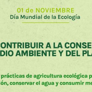 ¿Cómo contribuir a la conservación del medio ambiente y del planeta?