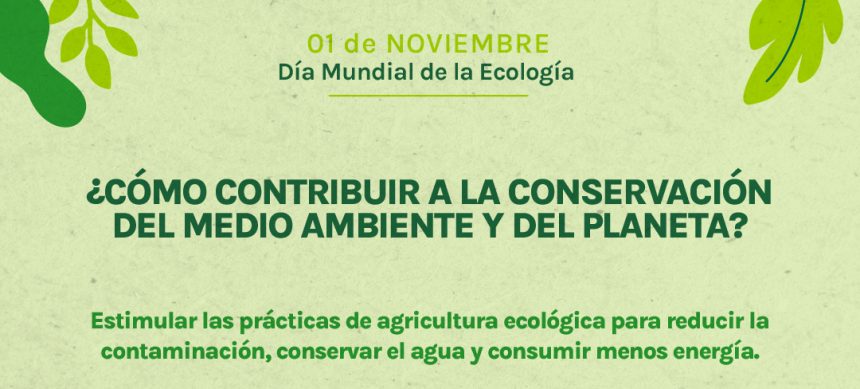 ¿Cómo contribuir a la conservación del medio ambiente y del planeta?