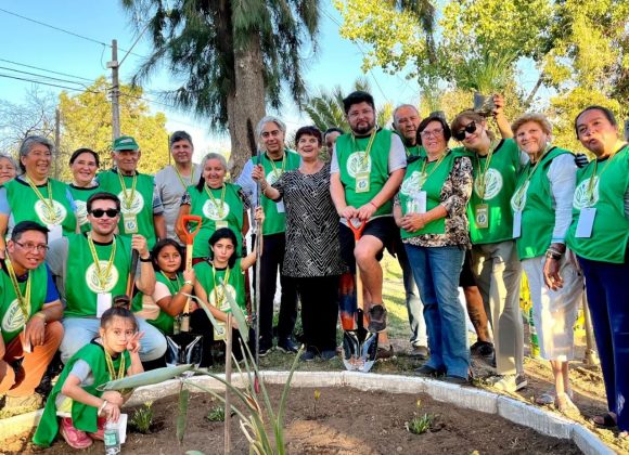 Voluntariado Ambiental transforma la Plaza La Herradura en El Bosque