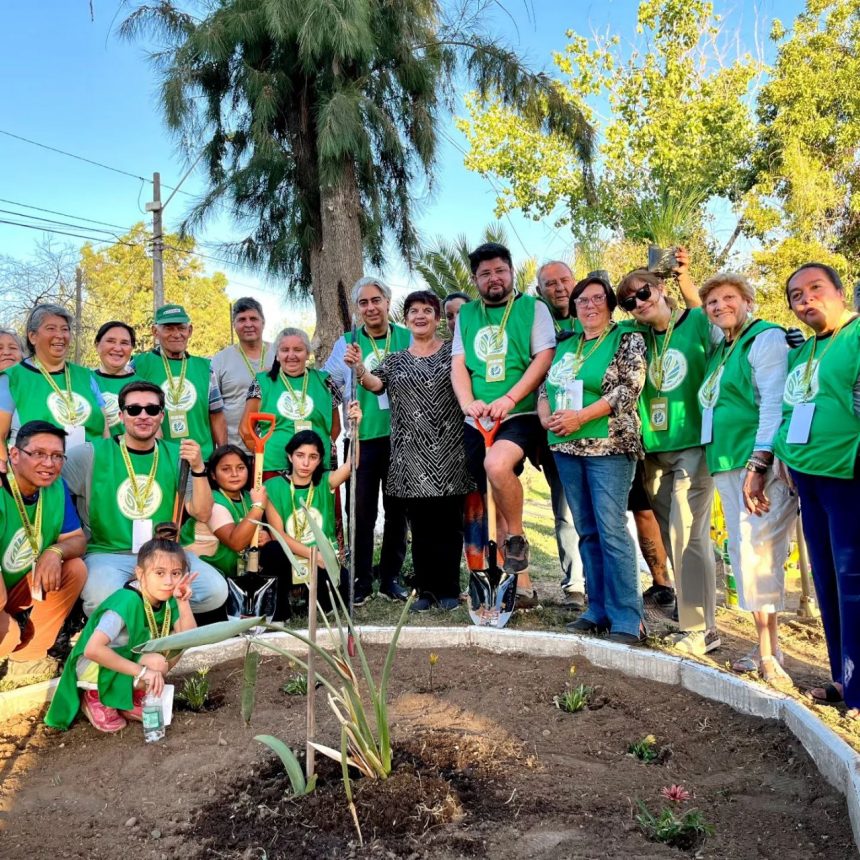 Voluntariado Ambiental transforma la Plaza La Herradura en El Bosque